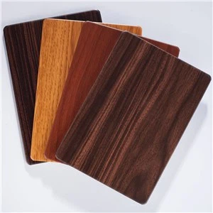 Exterior Fațada Casei Placare Lemn Finisaj Alucobond Tabla ACP
