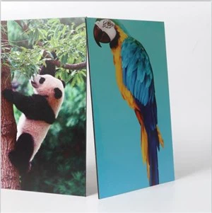 ACM Advertising Board/signboard For Outdoor Use